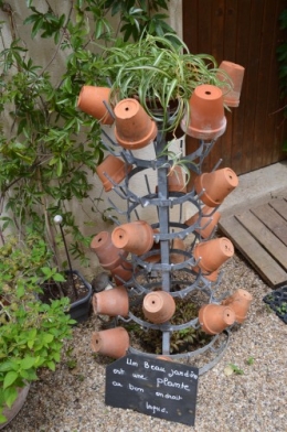 tour du jardin en juin 035.JPG