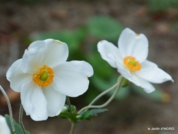 jardin,papillons,anniversaire d'Ines,bricolage 087.JPG