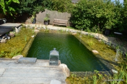 les jardins d'eau de Carsac 176.JPG