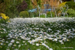 jardin printemps 004.JPG