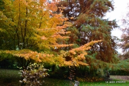 les arbres en automne,cabane 030.JPG