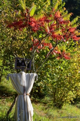 rhus,colline,buis taillé,noix,manthe religieuse,bouquet 076.JPG