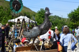gastéropodes,les cygnes,marché,l'Abbaye Nouvelle,jerdin 079.JPG
