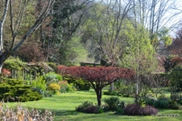 l'osier,stuctures,fleurettes printemps 043.JPG