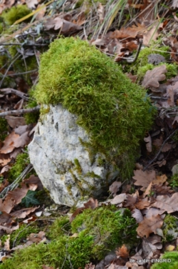 colline,crèche,taille 064.JPG