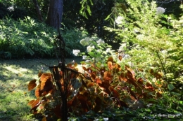 mon coin,Monique,les oies,mon jardin 024.JPG