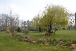 Beaumont,tulipes,primevères et autres,chez Bernadette 136.JPG