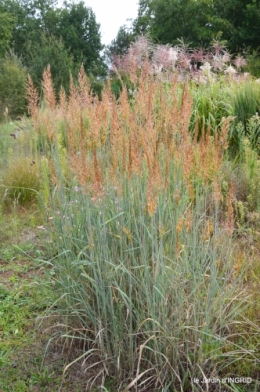 chez Willy,jardin 084.JPG