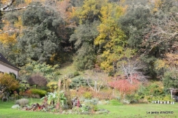 troc,automne,serre 027.JPG