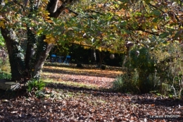 Romefort,bord de Creuse,vent,feuilles,jardin,canal 091.JPG