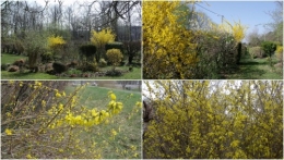 2012-03-30 30 mars.jpg