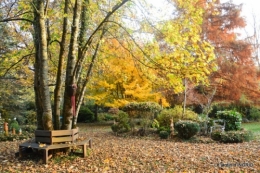 canal,automne,tonte des feuilles 063.JPG