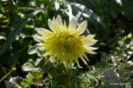 Fouleix,cygnes,Inès,jardin 056.JPG