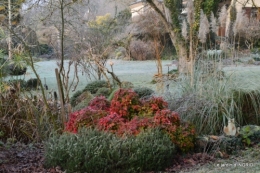 vieilles photos,givre,dentelles 122.JPG
