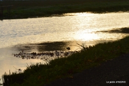 canal automne ,jardin,Ines 062.JPG