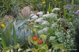 jardin,fruits,Caro,papillons,manthe religieuse,Lalinde 026.JPG