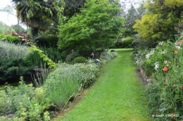 potager,chenille,pour le 18 juin,tour du jardin 047.JPG