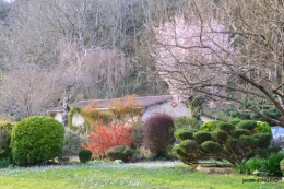 primevères ,jardin 039.JPG
