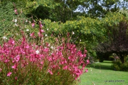 jardin ,chez Fabien,automne 087.JPG