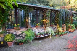 Julie,jardin, 114.JPG