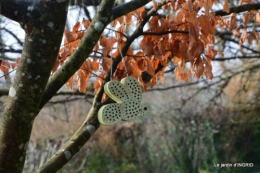 oiseaux cacaouettes gouttes,petits fruits 054.JPG