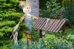 épouvantails,cygnes,jardin,bouquet fête des pères 139.JPG