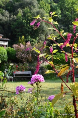 jardin le matin,la mare 071.JPG