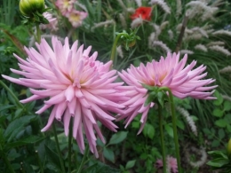 été