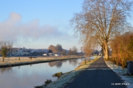 sapin 2021,decembre au jardin 077.JPG