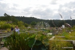 orage,puces,bouquet,Anniv.Ines,Brantome,Jardins d'eau 308.JPG