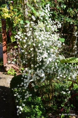 jardin octobre,chez Marylaur,Arnaud ,Ariane,la mer,sauges 232.JPG