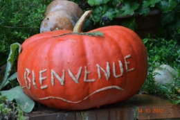 champignons,citrouilles,st Mayme de Péreyrol,fuschias,jardin aut 151.JPG