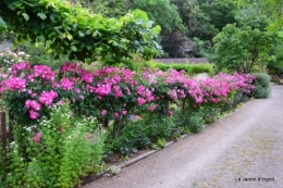 coquelicots 048.JPG