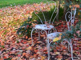 jardin,troc graines,coucher de soleil,la Brenne 037.JPG