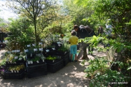Fouleix,cygnes,Inès,jardin 100.jpg