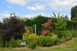 inondation,jardin,oeufs cygnes,chez Nathalie 084.JPG