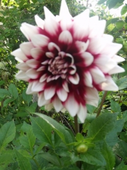 été