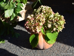 st Mayne de Peyrerol,bouquet rose,sauges 063.JPG