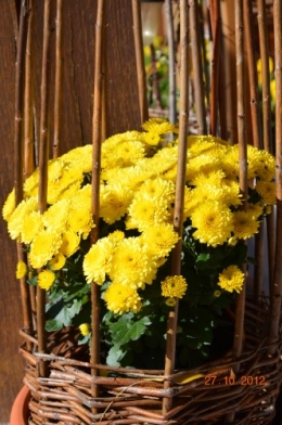 octobrejardin,citrouillesIssegeac,leCLOSdesSOURCES 039.JPG
