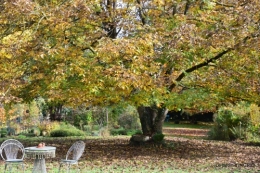 Jardins Chaumont 2015 026.JPG