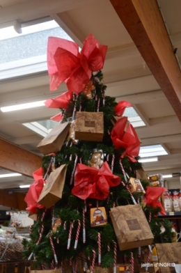 Noel jardiland,frelons,serre,feuilles 124.JPG