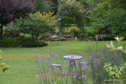 mon jardin,dégats buis, 101.JPG