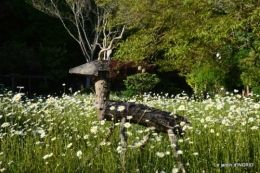 roses,jardin,Le Fleix,bleu 103.JPG