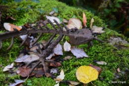 le jardin de la sedelle