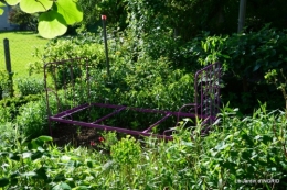 jardin soir et matin 065.JPG