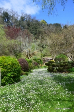 le printemps ,paquerettes,tonte,Anni. Jérome 095.JPG