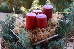 chevreuils,givre jardin et canal,marché de Noel Sarlat 098.JPG
