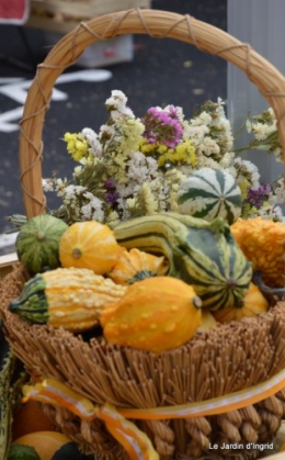 champignons,citrouilles,st Mayme de Péreyrol,fuschias,jardin aut 094.JPG