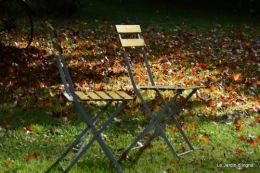 ménage automne,plectanthrus,feuillages 089.JPG
