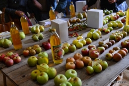 mariage,jardin,la Brande,figues 141.JPG